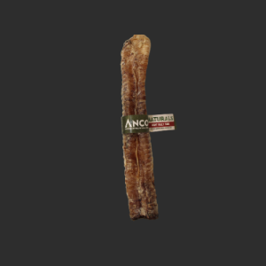 Beef Trachea large