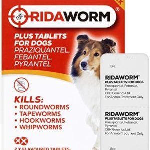 RidaWorm