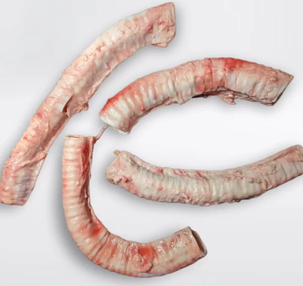 Large Raw Beef Trachea